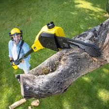 Best Tree Mulching  in East Patchogue, NY