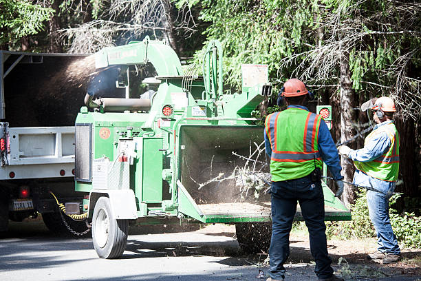 Mulching Services in East Patchogue, NY